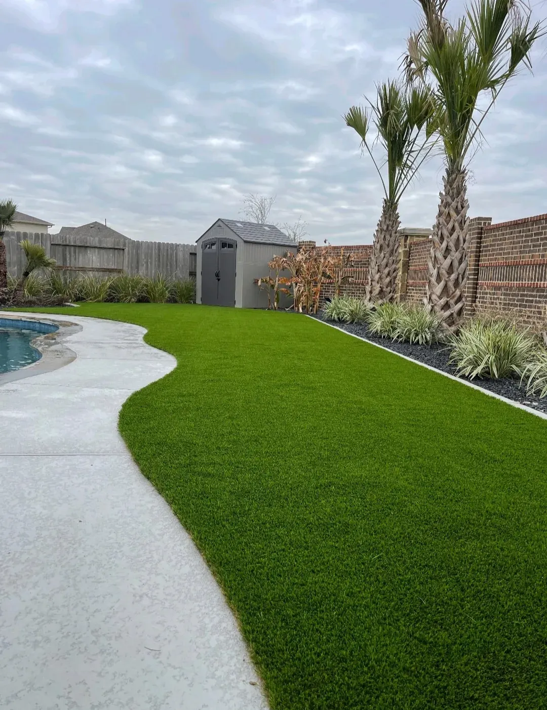 A sweeping curved artificial turf lawn between a pool deck and a fence line planted with palms