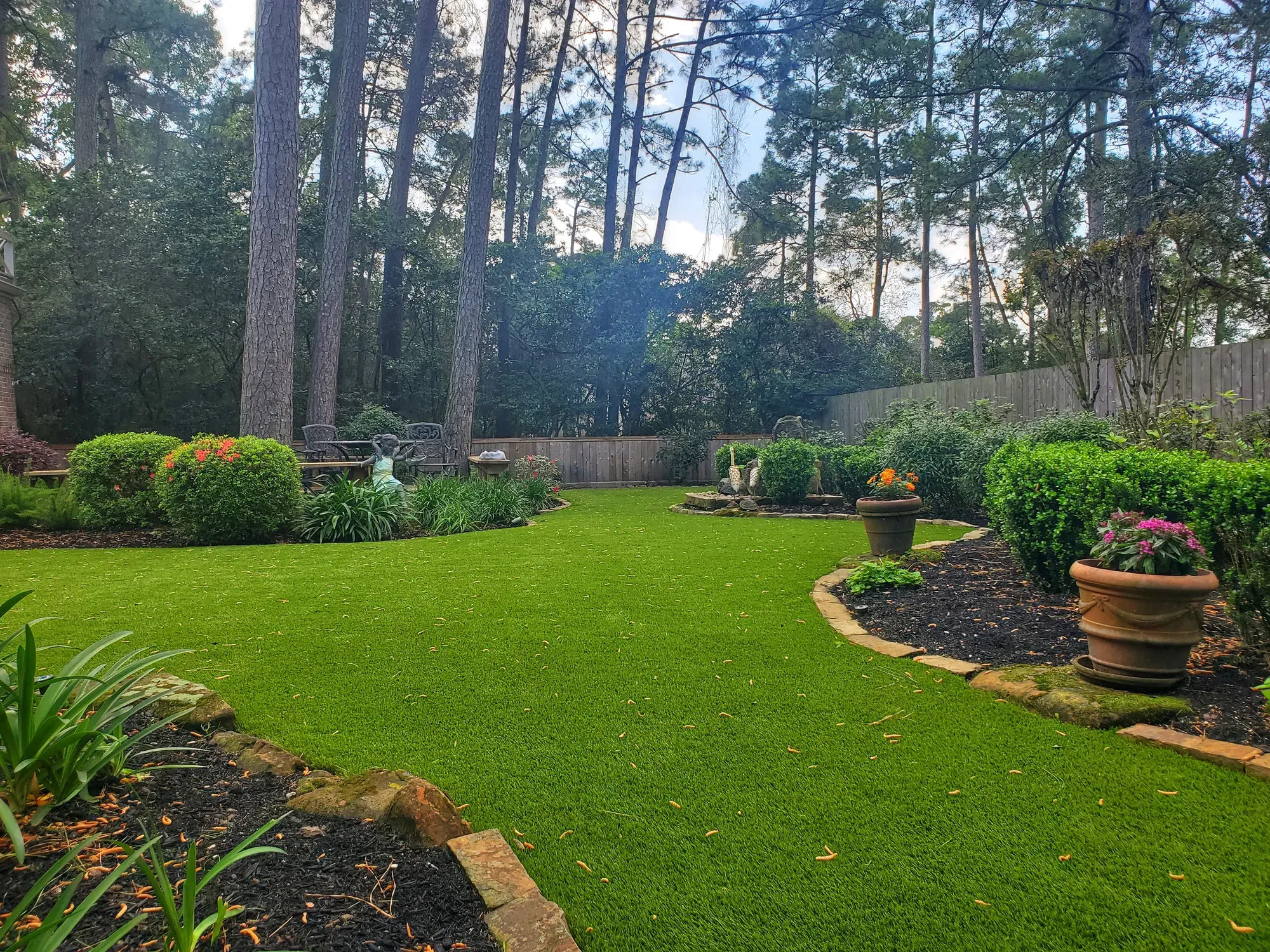 An artificial lawn edged with clipped shrubs and planted containers under tall pines
