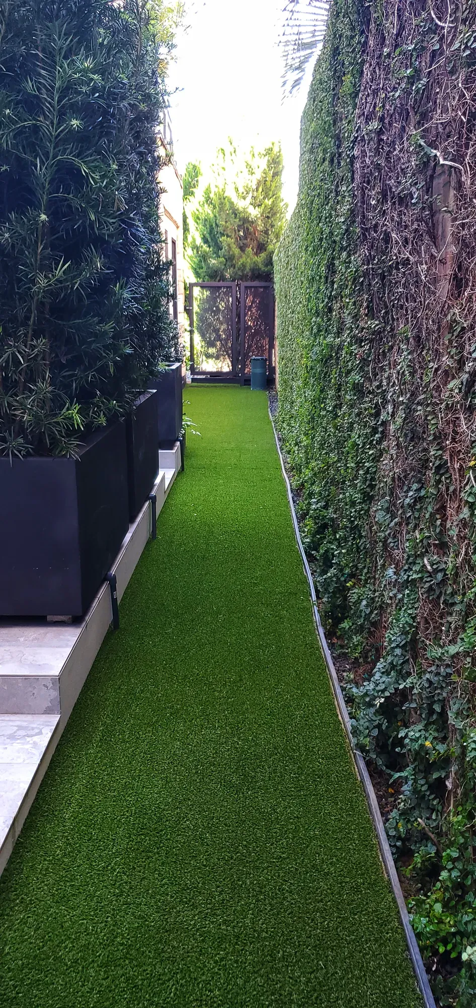 A narrow side passage laid in artificial turf between a tall hedge wall and planters